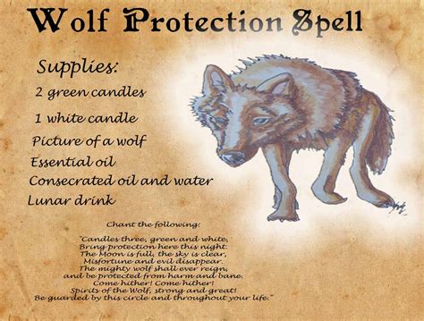 The spell of the wolf curse